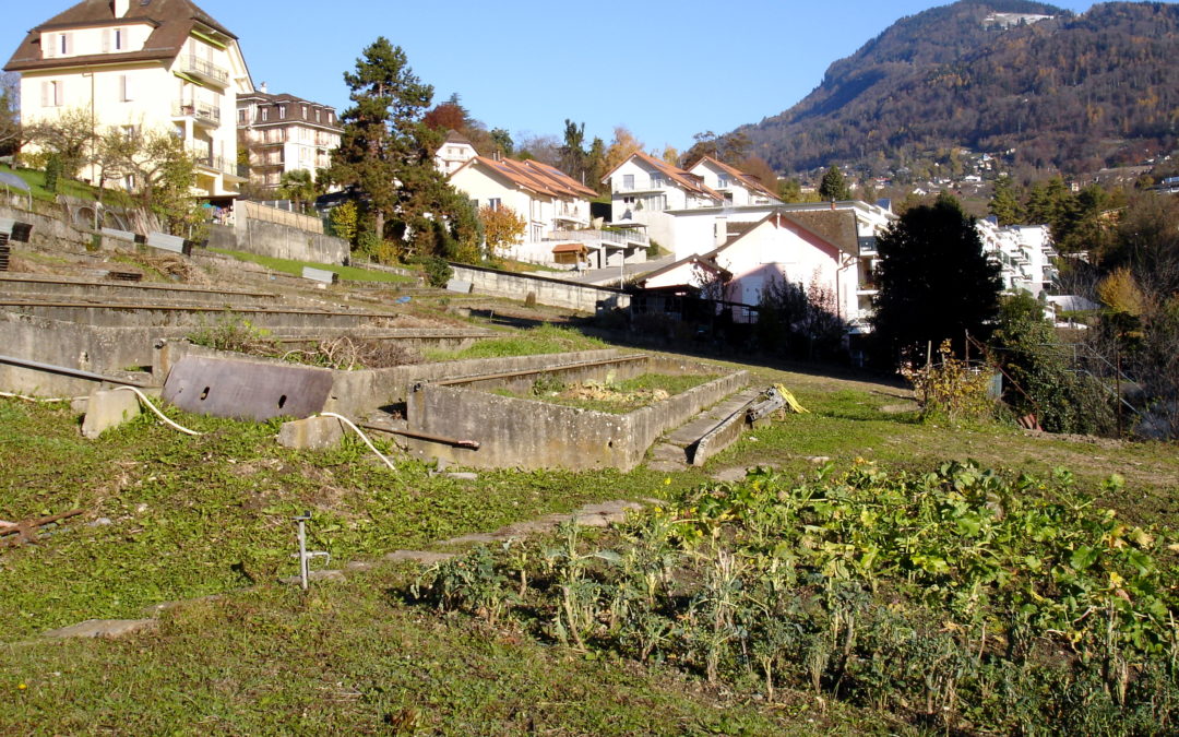 Clarens – Les Fleurettes
